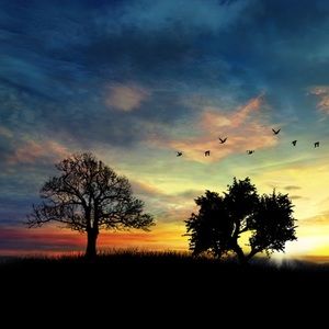 Meet your Posher, Colin